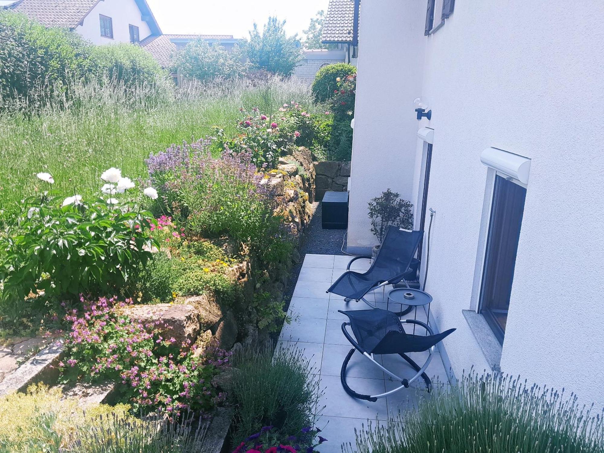 Ferienwohnung Bluetenzauber In Idyllischer Lage Naehe Bodensee Hilzingen Dış mekan fotoğraf